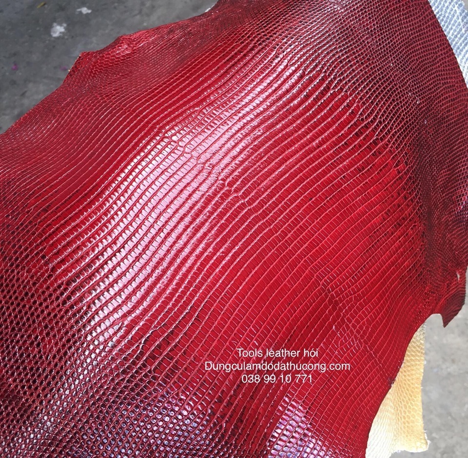 da kì đà indo màu đỏ ( giá tùy size từ 320k)